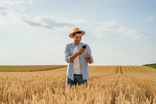 Farmer using mobile phone while standing in his growing  wheat  field.