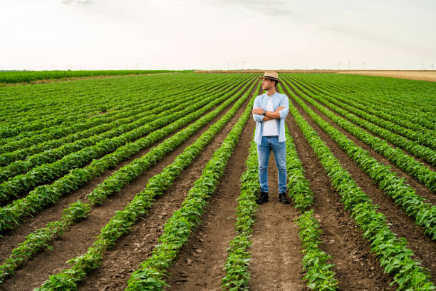 istock Farmer in  soybean field 1404208260