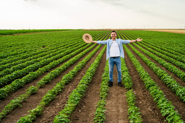 istock Farmer with arms outstretched  in his growing  soybean  field 1404208267