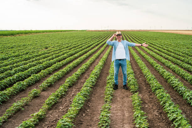 istock Farmer showing his growing soybean field 1404208291