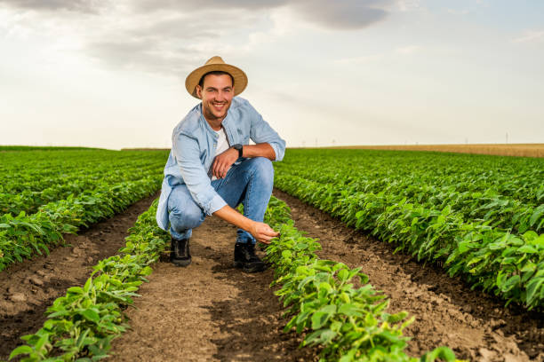 istock Happy farmer in his growing  soybean field 1404208320