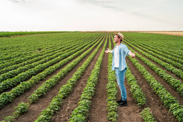 istock Farmer with arms outstretched  in his growing  soybean  field 1404208321