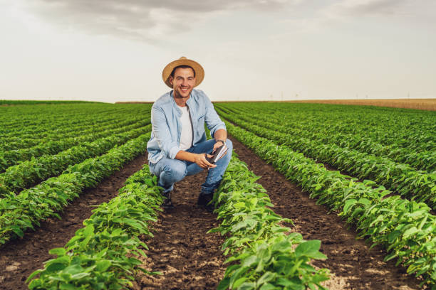 istock Happy farmer in his growing  soybean field 1404208395