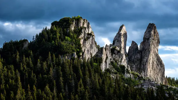 Rarau Mountains, Eastern Carpathians, Romania.