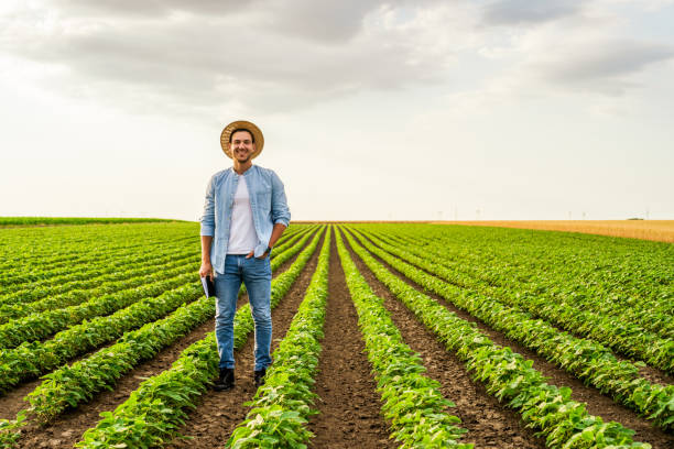 istock Farmer  standing in his growing  soybean field 1404208636