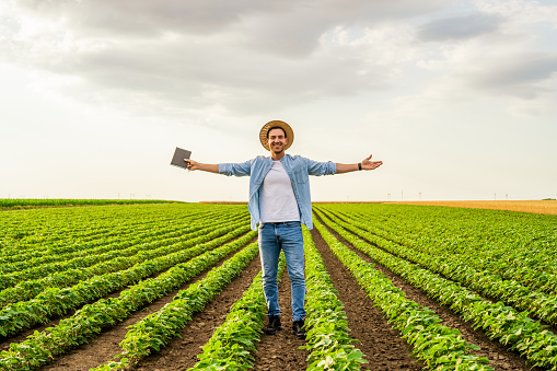 Happy farmer with arms outstretched standing in his growing  soybean field.