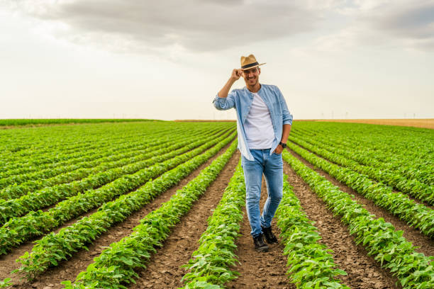 istock Happy farmer  in his growing  soybean field 1404208640