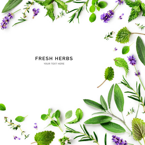 istock Rosemary, lavender, marjoram, sage and thyme composition 1404209405