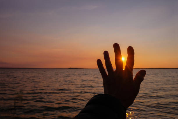 silhouette einer weiblichen hand auf sonnenuntergangshintergrund. leerzeichen kopieren. - romantic scene flash stock-fotos und bilder