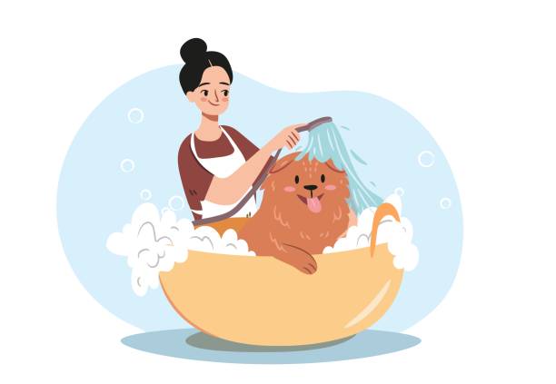 ilustrações de stock, clip art, desenhos animados e ícones de woman washing a dog in a grooming shop. - dog bathtub washing puppy