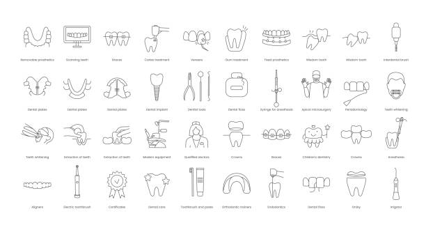 stockillustraties, clipart, cartoons en iconen met a set of linear vector icons with dental instruments, treatment and doctor. vector illustration for dental clinics and offices, fixed and removable prosthetics, periodontology, interdental brush - dental