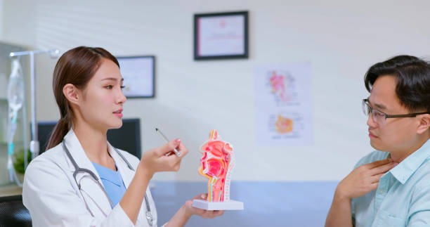 doctor explain ENT model attractive young brunette ponytail female asian doctor wear white coat explaining ENT model to male patient at clinic esophagus stock pictures, royalty-free photos & images