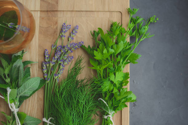 istock Various herbs picked from the garden, getting ready for drying, on wooden background 1404218444