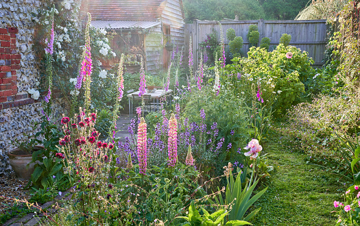 English Country Garden with cottage garden plants in summer and a flint wall
