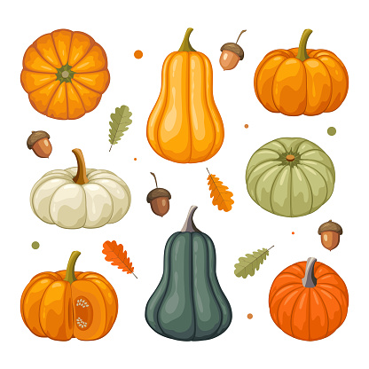 Set of colorful pumpkins in flat design