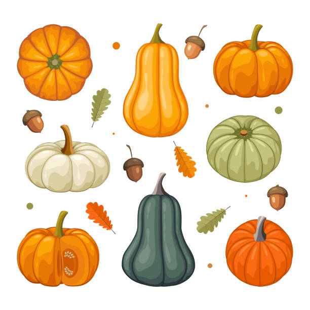 Set of colorful pumpkins in flat design Set of colorful pumpkins in flat design gourd stock illustrations