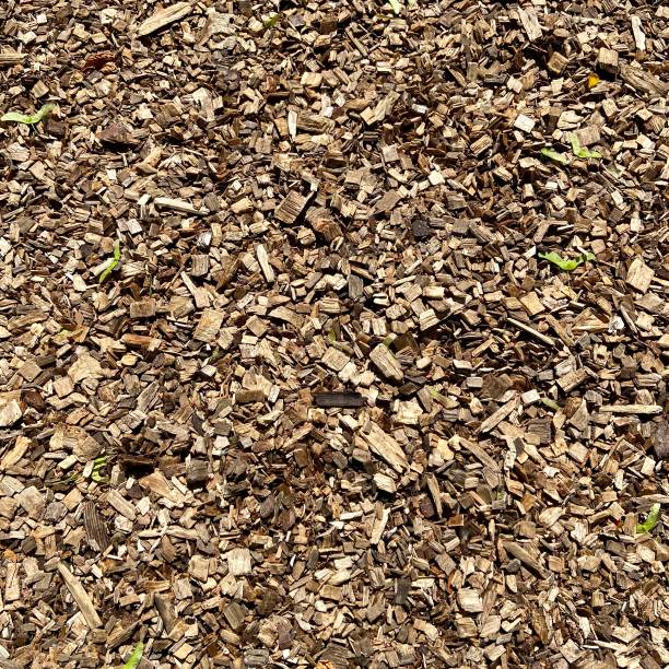 istock Wooden sawdust for decoration 1404218933