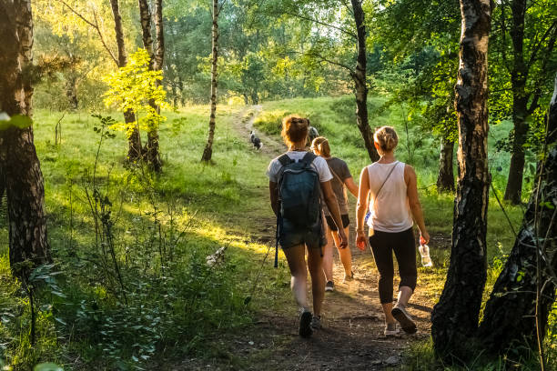 Tourist excursion by local guides