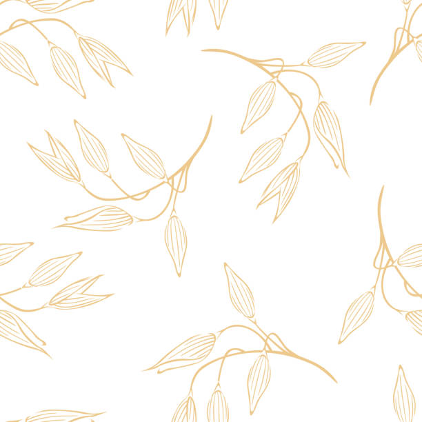 ilustrações, clipart, desenhos animados e ícones de fundo botânico com orelhas de aveia no branco. padrão de semear vetores com contorno vegetal agrícola. - oatmeal