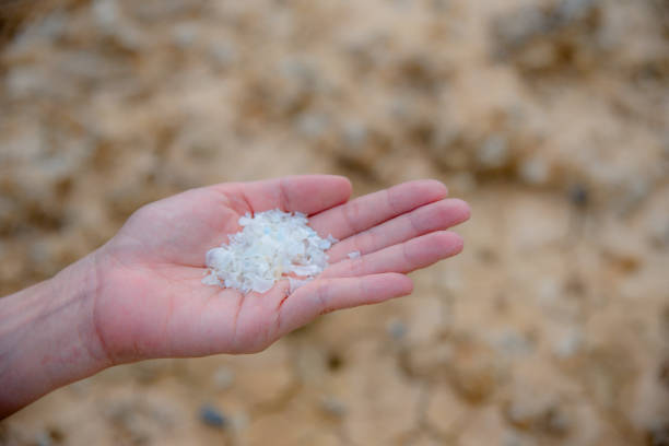 istock We found microplastics contaminating food. And we show off those microplastics in our hands. 1404221855