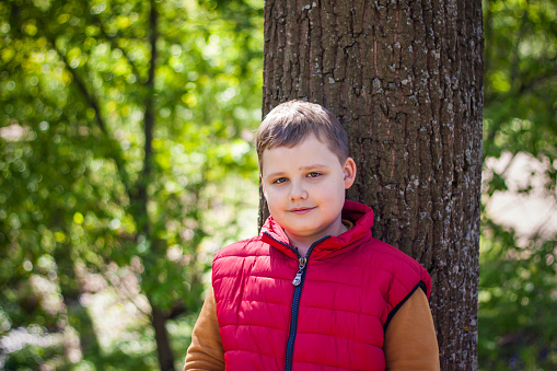 Portrait of a boy in the forest in spring. Take a walk in the green park in the fresh air. The magical light from the sun's rays is left behind. Space for copying. Selective focus. Spring
