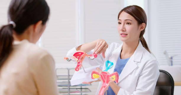 Ovarian Cancer concept attractive young brunette ponytail female asian doctor wear white coat with teal ribbon explaining uterus model to woman at clinic fallopian tube stock pictures, royalty-free photos & images