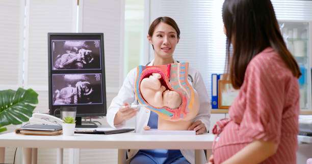 koncept prenatální zkoušky - fyziologie fotky - stock snímky, obrázky a fotky