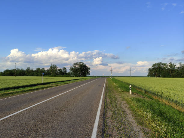 istock Asphalt road through agricultural fields in summer at the sunrise 1404223872