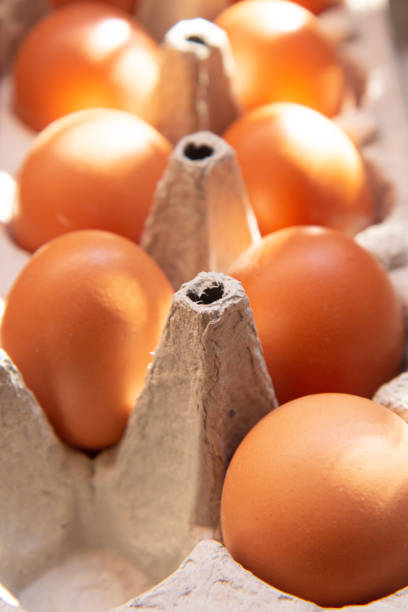 istock Fresh farm eggs in the cardboard boxes for storing eggs. Packaging for chicken made of recycled waste paper 1404224706