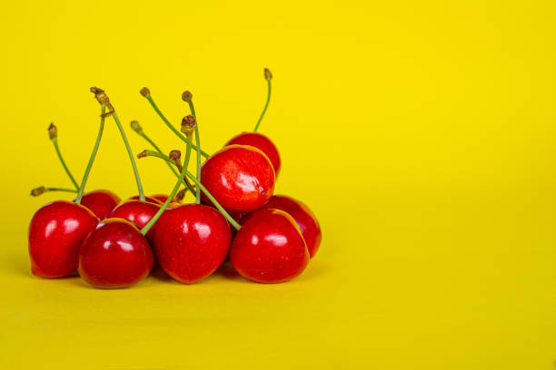 Cherry fruits isolated on yellow background. Closeup photo of cherries. Healthy summer fruits concept.