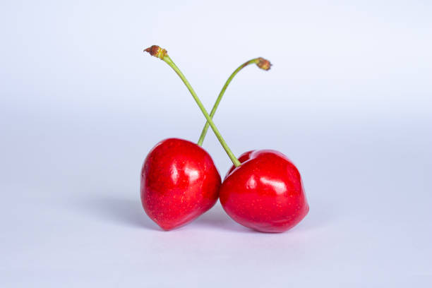 Cherry fruits isolated on white background. Closeup photo of cherries.