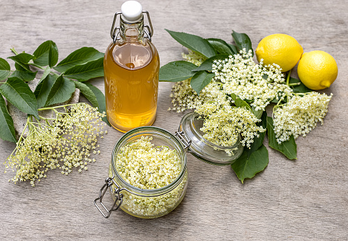 Classic elderflower cordial recipe with wild foraged elderflowers and fresh lemon juice. The easy-made base for summer lemonades, drinks, and also baking.