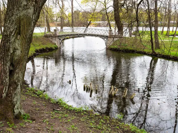 view of pond with bridge in park near Gatchina Palace, Russia in overcast spring day