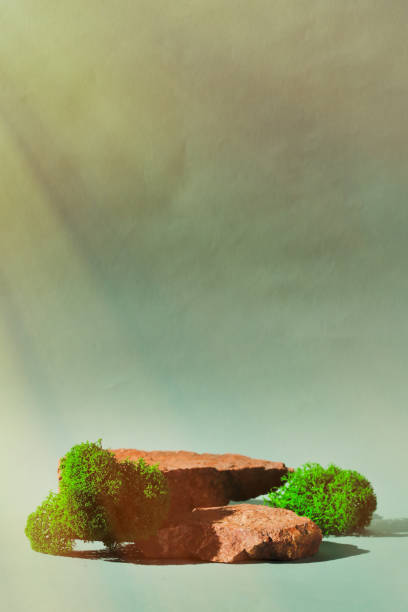 istock stone podium for product display 1404236031