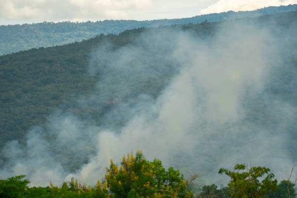 istock forest on hill and smoke from fire burning background 1404238882