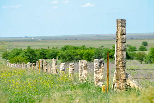 Fence with Fencestone limestone posts and barbed wire, Ness county, Kansas, USA. The limestone was quarried locally in the late 19th and early 20th centuries as a building material to augment a lmiited timber supply on the Great Plains. A line of drill holes used to help split the rock is visable on the corner post at right.