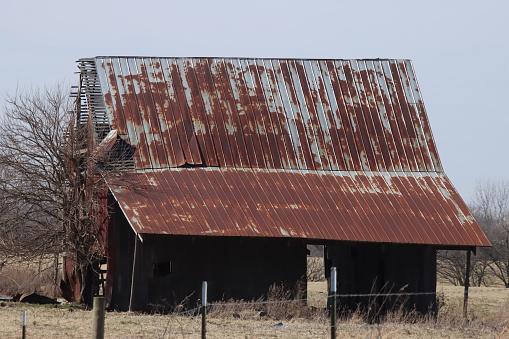 Metal Roofed Barn with tree growing out of it