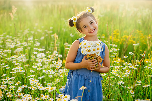 Cute smiling little girl, in a blue dress, holds a bouquet of daisies in a glass jar, stands in a field with daisies on a sunny day. Copy space