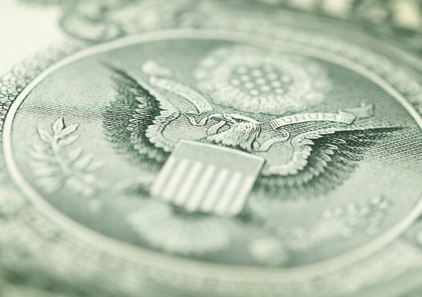 istock reverse side of one US dollar bill 1404245588