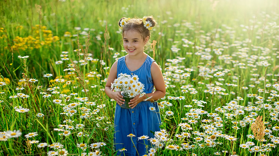 A cute little girl in blue dress walks through a field of daisies on a sunny day. copy space. Wide