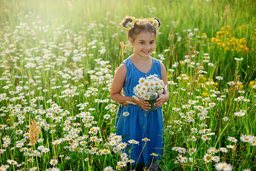 A cute happy little girl in blue dress walks through a field of daisies on a sunny day. copy space.