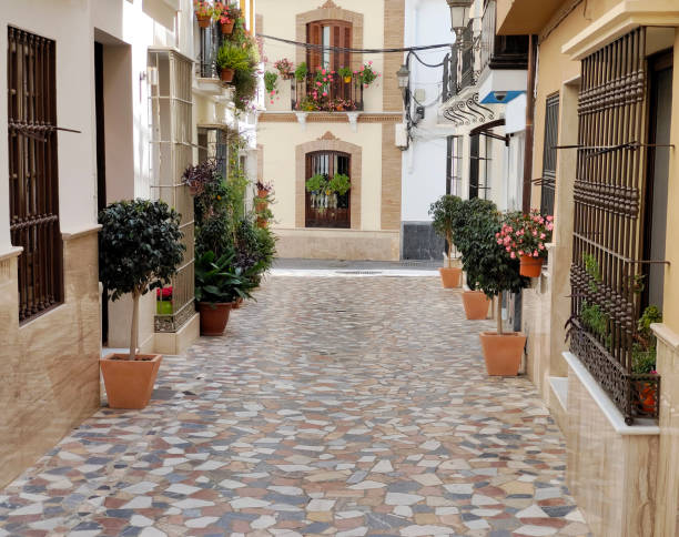 Flower pots in the street Street with flower pots inMalaga province in a sunny day spanish flower pots stock pictures, royalty-free photos & images