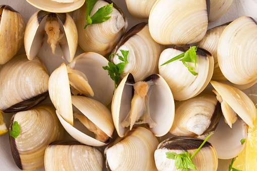 Close up shot of clams with fresh herbs and lemon. Stock photo.