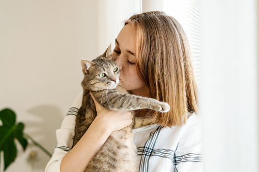 Indoor shot of amazing lady holding pet. Portrait of young woman holding cute striped cat with green eyes. Female hugging her cute kitty. Adorable domestic pet concept. Indoor shot of amazing lady holding pet.