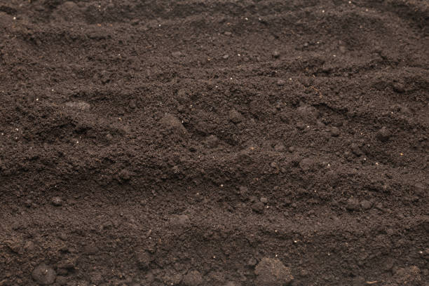 istock Black land for plant background. Top view. 1404250508