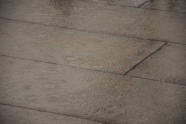 rain drops forming concentric rings on the wet surface of a paved walkway in a pedestrian area