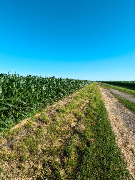 istock Country Roads, Take Me Home 1404254038