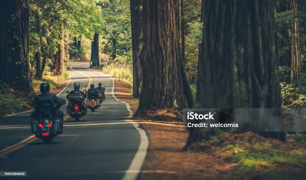Motorcycle Group Touring Through the Redwood Highway Motorcycle Group Touring Through the Scenic Redwood Highway in Northern California, United States of America. Four Bikers on a Touring Motorcycles. Motorcycle Stock Photo