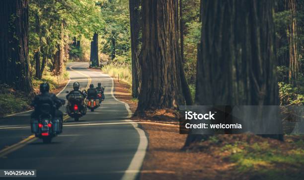 Motorcycle Group Touring Through The Redwood Highway Stock Photo - Download Image Now