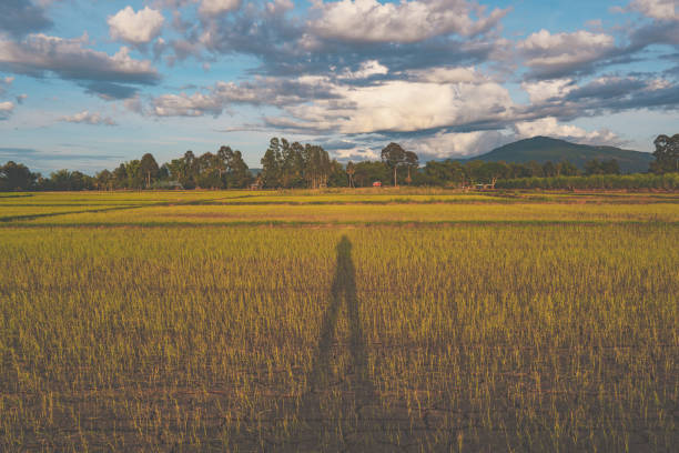 istock sunset sky and clouds in countryside background 1404255552